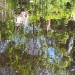 Jardins de Chaumont - Préparation - Couleurs d'été